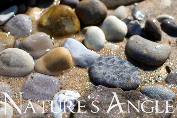 Petoskey Stone_8557