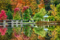 Reflections_2184