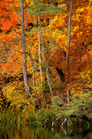 "Seasons Change"
