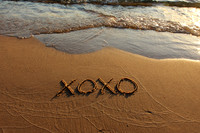 xoxo