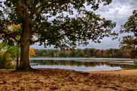 Fall_1441