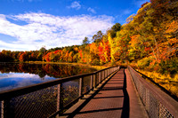 Peaceful Walkway_3140