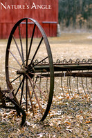 wheel