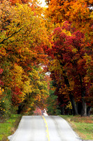 "Autumn Path"