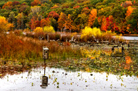 Fall _3339