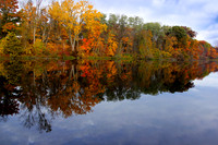 "Fall Foliage"